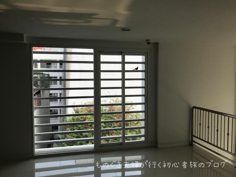 遊びに来た小鳥